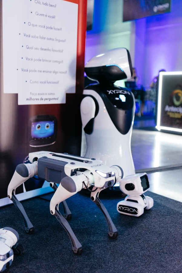  (Fernando Cremonez e Ricardo Maia)