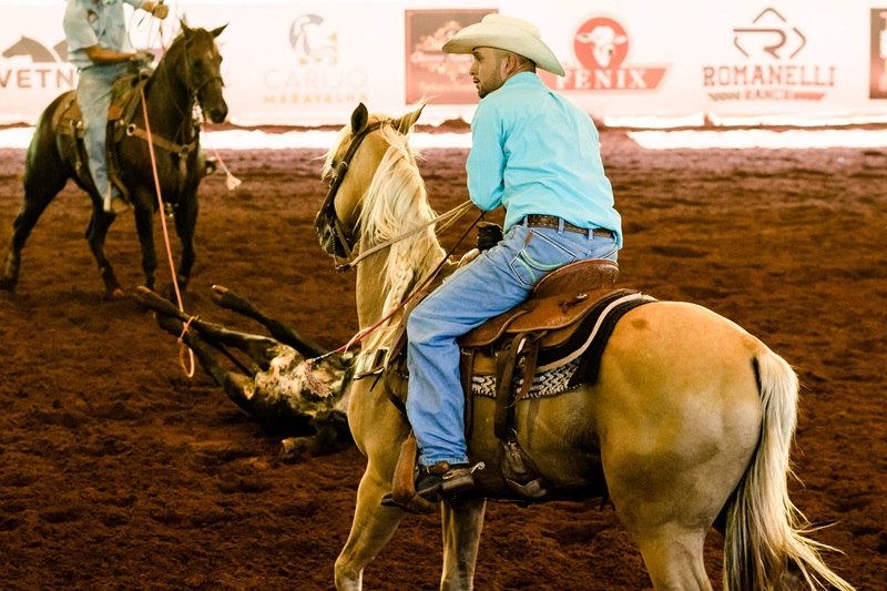 Imagem JPG, Prova de laço em dupla será neste fim de semana na ExpoLondrina