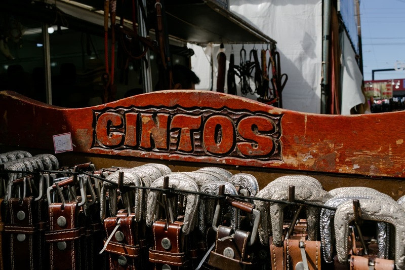  (Ricardo Chicarelli)