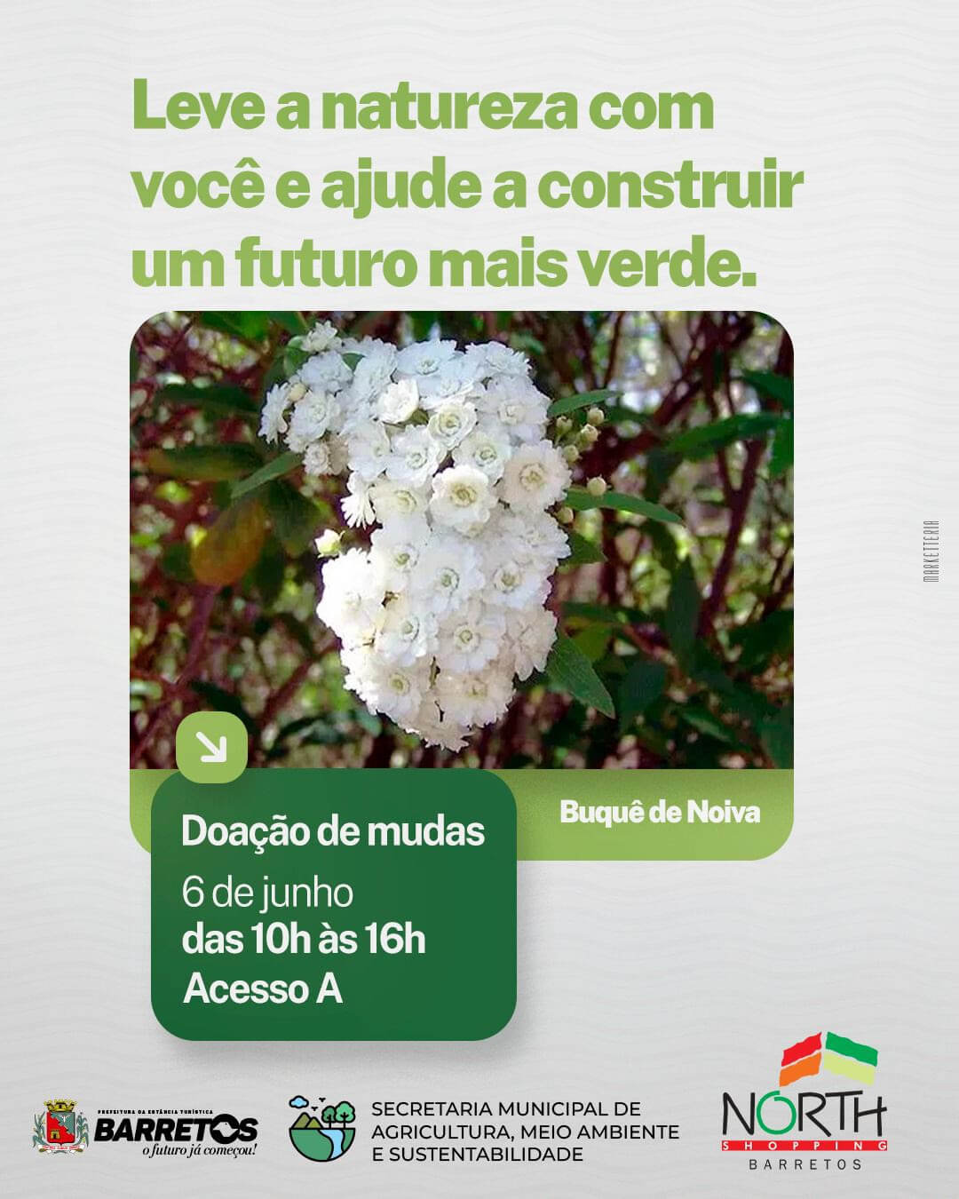 Imagem JPG,  North Shopping e Prefeitura de Barretos realizam doação de mudas em comemoração ao Dia Mundial do Meio Ambiente