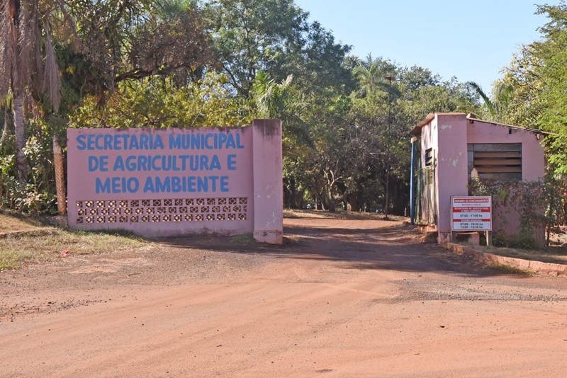 Imagem JPG, Viveiro Municipal recebe curso de Capacitação em Enxertia
