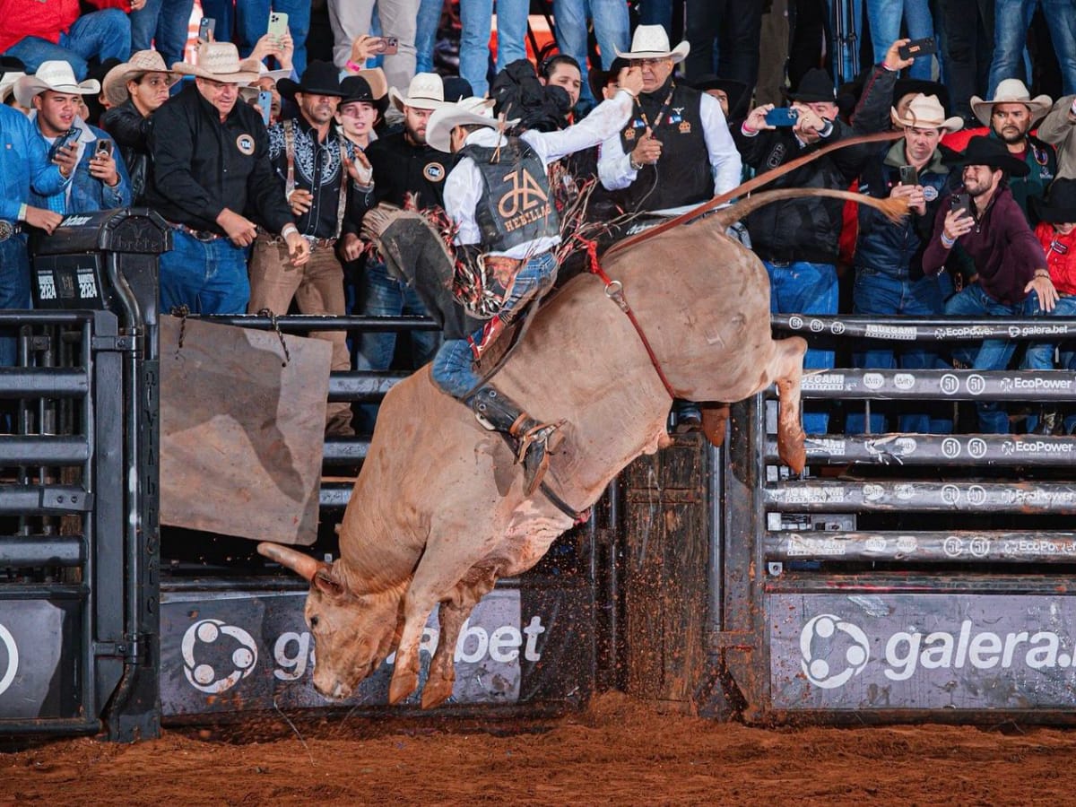 Imagem JPG, Valiosos e bem cotados, touros são recebidos como estrelas na Festa do Peão de Barretos