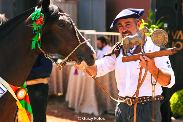 Imagem JPG, Festa do Peão de Barretos recebe 1ª Exposição Morfológica do Cavalo Crioulo